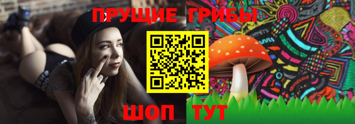 Великий Устюг  Псилоцибиновые грибы мицелий  Вход с VPN  Галлюциногенные грибы Magic Shrooms 